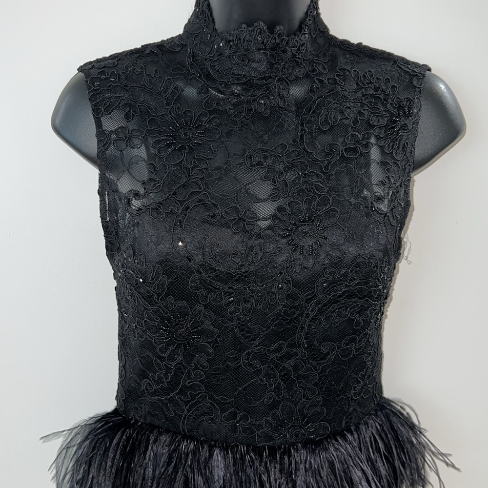Alice + Olivia Black lace midi dress with Feather belting, open back, & corset.